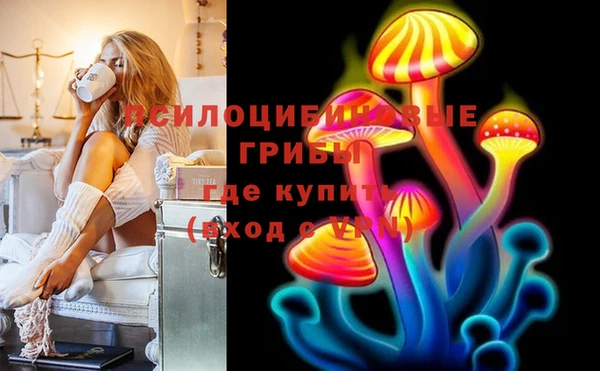 спиды Алексин