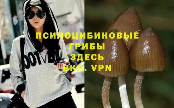 кокс Абдулино
