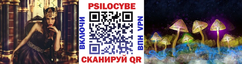 Псилоцибиновые грибы Psilocybine cubensis mega рабочий сайт Барнаул закладка
