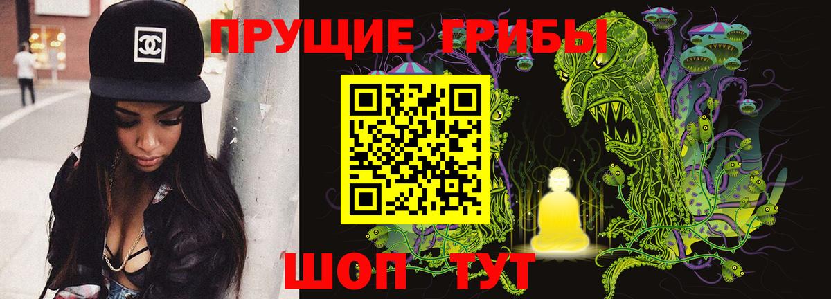 Галлюциногенные грибы Psilocybe  Вход с VPN  Галлюциногенные грибы прущие грибы  Барнаул 