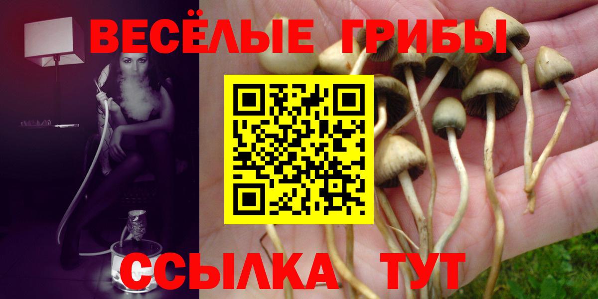 Галлюциногенные грибы прущие грибы Барнаул
